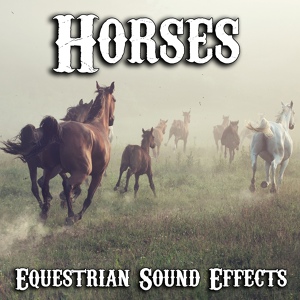 Обложка для Audio Decor Sound Effects - Call to the Post (Horse Racing Trumpet Open)