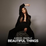 Обложка для A-Mase - Beautiful Things (Original Dub Mix)