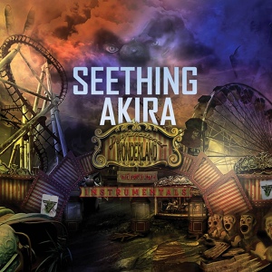 Обложка для Seething Akira - Gravity