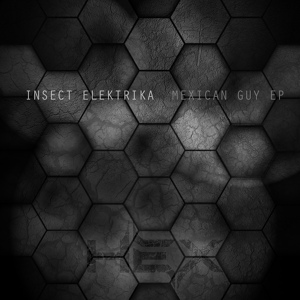 Обложка для Insect Elektrika - Ivan & Natalie