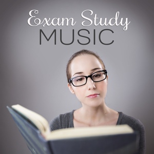 Обложка для Exam Study Background Music Consort - Soft Sounds