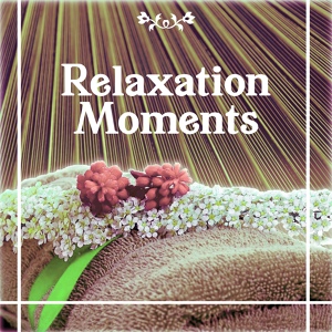 Обложка для Relaxing Spa Music Zone - Meditation Spa