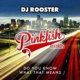 Обложка для DJ Rooster - Do You Know What That Means (Funky Truckerz Remix)