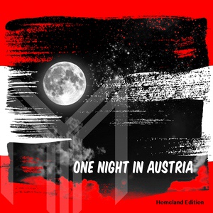 Обложка для NoYesMan - One Night in Austria