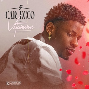 Обложка для 5 car ecco - Vitamine