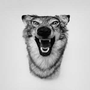 Обложка для Yelawolf - Sky's The Limit (https://vk.com/yelawolf)