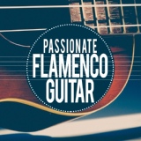 Обложка для Guitarra Clásica Española, Spanish Classic Guitar, Daniel Fries - Camino De La Luna