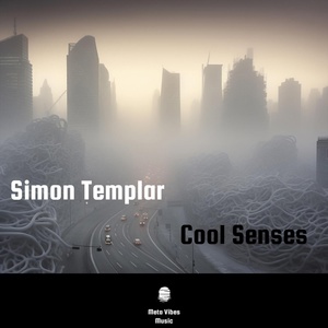 Обложка для Simon Templar - Cool Senses