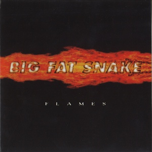 Обложка для Big Fat Snake - Flames