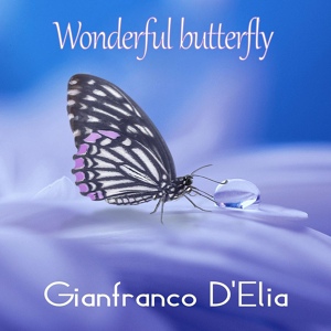 Обложка для GIANFRANCO D'ELIA - Wonderful butterfly