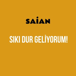 Обложка для Saian - Hayvan