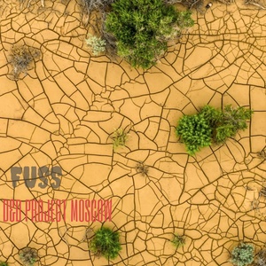 Обложка для D&D project Moscow - Fuss