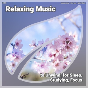 Обложка для Instrumental, New Age, Quiet Music - Relaxing Music, Pt. 82