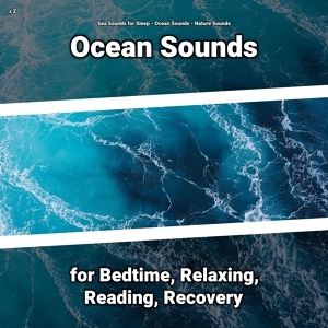 Обложка для Sea Sounds for Sleep, Ocean Sounds, Nature Sounds - Ocean Waves Sound Effect for Cats