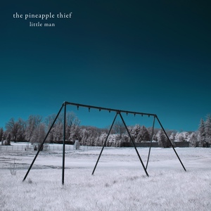 Обложка для The Pineapple Thief - Wilting Violet