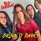 Обложка для Red Voodoo - Bring It Back!