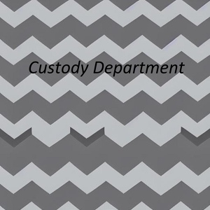 Обложка для Pipikslav - Custody Department