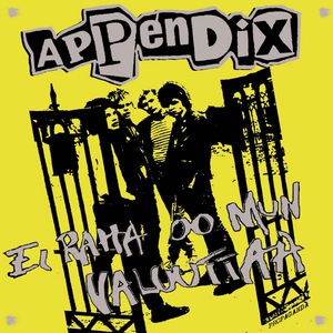 Обложка для Appendix - Ei Raha Oo ...