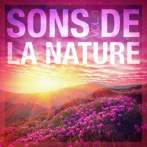 Обложка для Nature - Sons de la mer 4 : Chants et cris des baleines