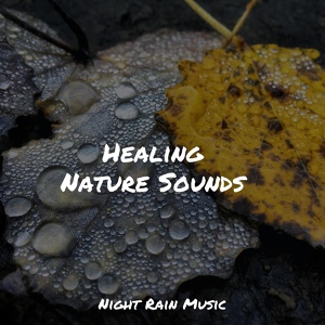 Обложка для Rain Sounds Rain, Winds and Oceans, Namaste Healing Yoga - Gentle Rain