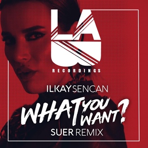 Обложка для Ilkay Sencan, SUER - What You Want (SUER Remix)