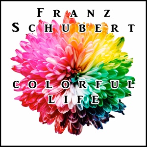 Обложка для Franz Schubert, Nologo - 6 Moments musicaux N.6M