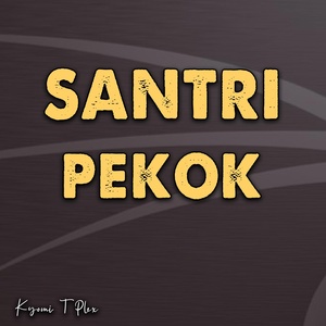 Обложка для Kyomi T Plex - Santri Pekok