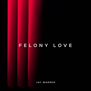 Обложка для Jay Warren - Felony Love