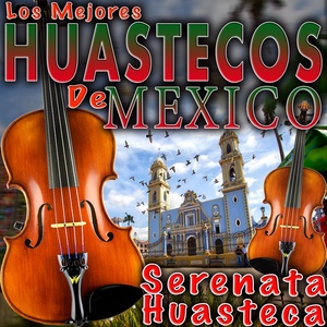 Обложка для Los Mejores Huastecos de Mexico - La Rosa