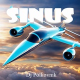 Обложка для DJ Polkovnik - Sinus