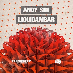 Обложка для Andy Sim - Innerspace
