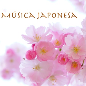 Обложка для Música Japonesa Maestro - Tambores y Flauta Japonesa