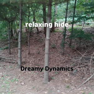 Обложка для Dreamy Dynamics - hurts mix