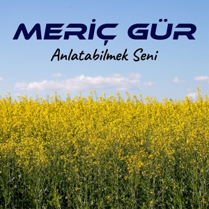 Обложка для Meriç Gür - Uçuşun Kuşlar