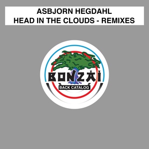 Обложка для Asbjorn Hegdahl - Head In The Clouds