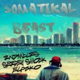 Обложка для Sergey Smock feat. Elpako, RNDMCLRS - Somatikal Beast