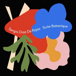 Обложка для Sergio Díaz De Rojas - Interlude for a Mossy Stream