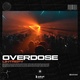 Обложка для Lintrepy - Overdose