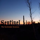 Обложка для Sentinel - D-Zero