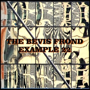 Обложка для The Bevis Frond - Vital Signs