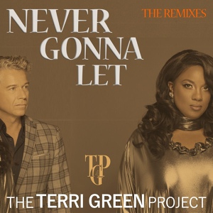 Обложка для The Terri Green Project - Never Gonna Let