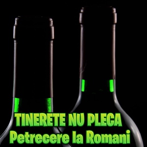 Обложка для Petrecere la Romani - Cînd mă sună fata mea