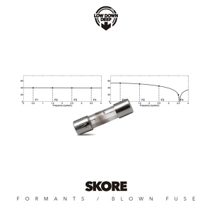 Обложка для Skore - Formants