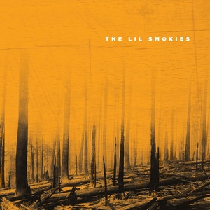 Обложка для The Lil Smokies - The Toothfairy