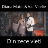 Обложка для Diana Matei - Din zece vieti