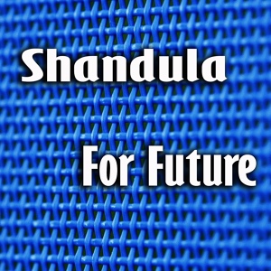 Обложка для Shandula - Daydream