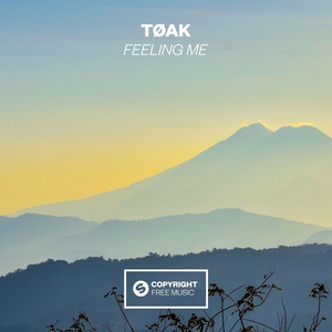 Обложка для TØAK - Feeling Me