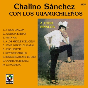 Обложка для Chalino Sanchez feat. Los Guamúchileños - Borradita Diente De Oro
