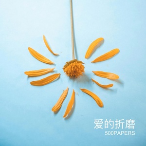 Обложка для 500PAPERS - 野花