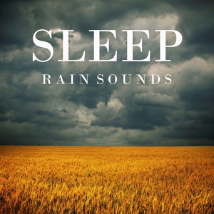 Обложка для For Sleep - Rain for Sleeping